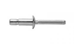 内锁口杯型拉丝铆钉