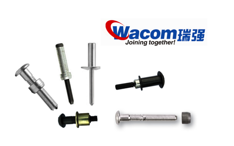 口碑好的全铁封闭铆钉-铆钉厂